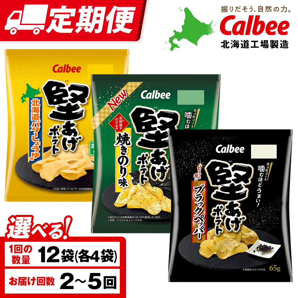 【ふるさと納税】【選べる定期便】堅あげポテト 3種セット ＜ブラックペッパー・焼きのり・バターしょうゆ＞ 各4袋 カルビー ポテトチップス 《千歳工場製造》スナック お菓子 北海道 千歳 ポテチ 北海道ふるさと納税 千歳市 ふるさと納税 ギフト ふるさと納税