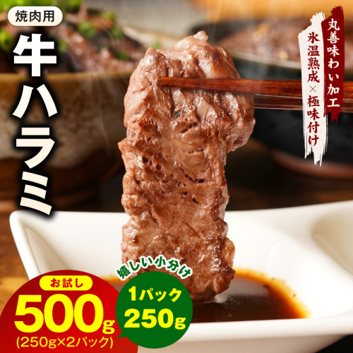 【お試し】牛肉 ハラミ 500g（250g×2P）【スピード発送 氷温熟成×極味付け】 mrz0426