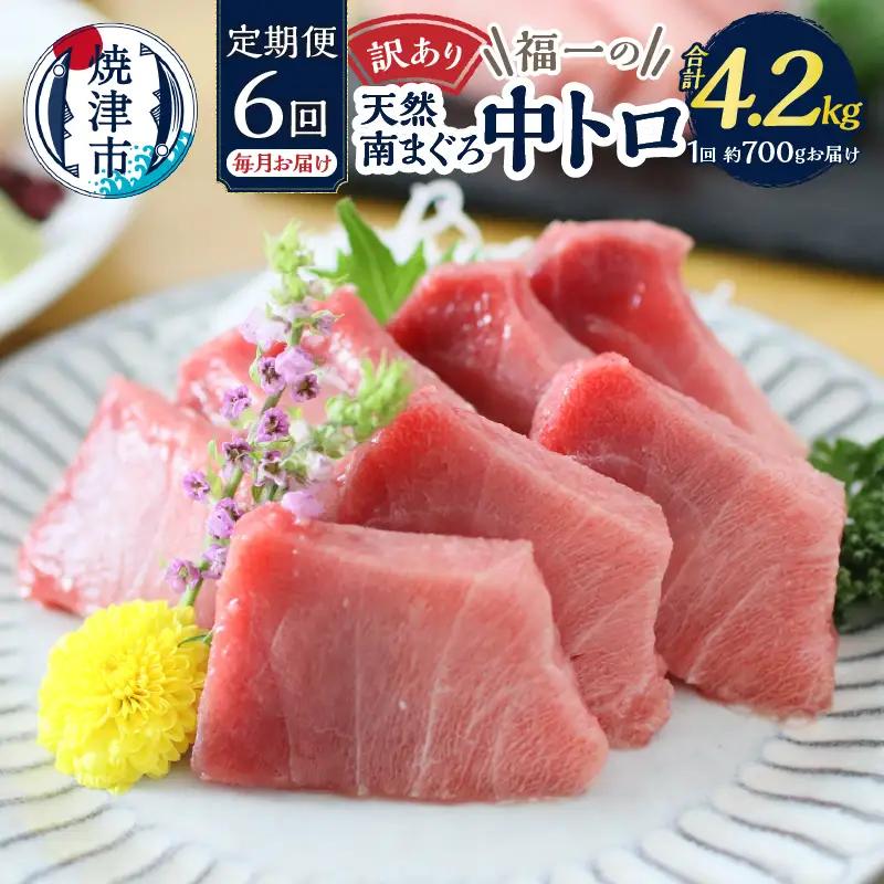 訳あり【定期便 6回】南鮪・刺身・中トロ(約700g) 訳あり OR FN-SupportProject OR 増量 OR 年末企画 訳あり (a90-013)