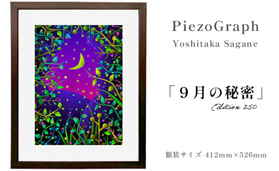 
                  相根良孝 ピエゾグラフ 絵画「９月の秘密」 額装サイズ412mmx526mm 額縁付き / アート インテリア ギフト 綾部市 / plandoo［BSAK045］
                