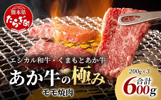 
            【エシカル和牛】くまもとあか牛【あか牛の極み】モモ焼肉 200g×3 (計 600g) モモ 赤身 熊本 あか牛 牛肉 小分け 焼肉 焼き肉 やきにく BBQ バーベキュー 和牛 国産 SDGs 033-0512
          