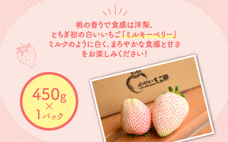 【先行予約】いちご　ミルキーベリーセット　450g×1パック ※着日指定不可 ※2024年2月下旬～5月下旬頃に順次発送予定