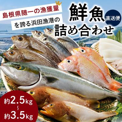 ふるさと納税 浜田市 この男に任せてみませんか〜浜田の旨い鮮魚直送便〜 |  | 01