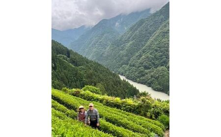 中井侍銘茶（一袋100g入り）2袋セット（お茶 茶葉 日本茶 緑茶 国産 手摘み 幻のお茶 浅蒸し茶 中井侍銘茶 秘境）【長野県天龍村】