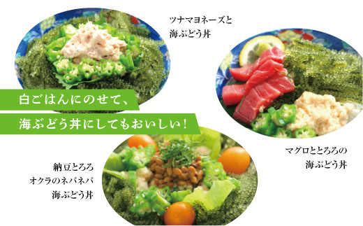 【沖縄県産】生海ぶどう 100g × 10パック セット 専用タレ付き 沖縄県産 | 島食専門店kinchanchi 金ちゃんちの海ぶどう| 鮮度抜群！プチプチ食感。