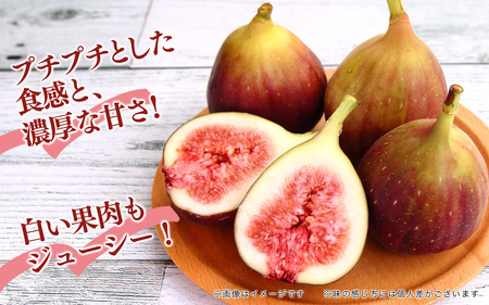 【2025年9月～10月頃順次発送】福岡県オリジナル品種 高糖度プレミアムいちじく 「とよみつひめ」約1.2kg 072-195