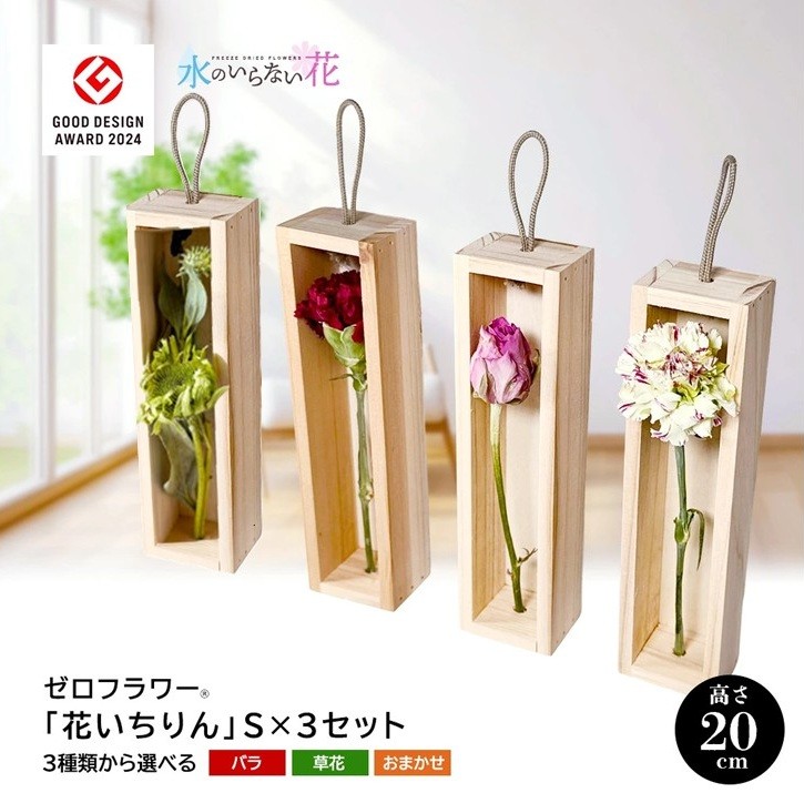 
                  ＜3種類から選べる＞水のいらない花 ゼロフラワー「花いちりん」 S×3セット SL0282
                