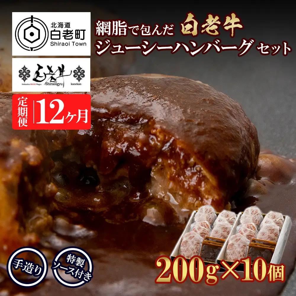 定期便12カ月 お楽しみ 白老牛 ジューシー ハンバーグ セット 10個 BY102