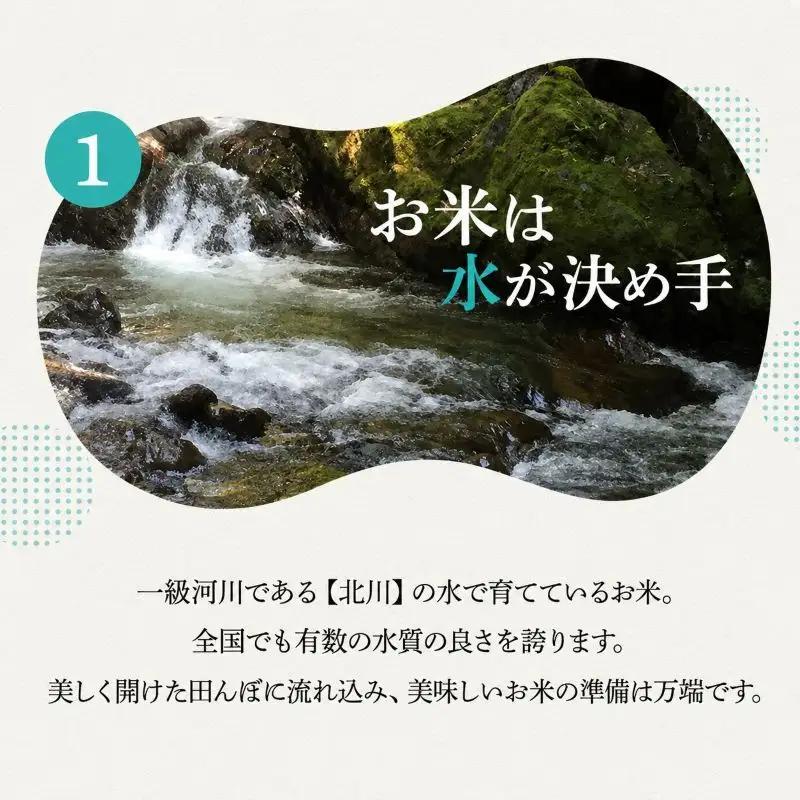 コシヒカリ 米 5kg 単一原料米 一等米 白米 コシヒカリ
