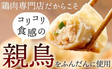親どり専門店が作る親鳥餃子（50個）