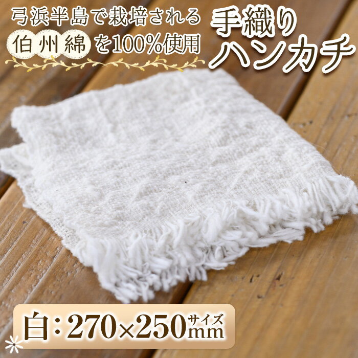 【ふるさと納税】伯州綿ハンカチ(1枚)鳥取県 境港市 ハンドタオル タオル 工芸品 小物 綿 【sm-BC002】【浜っ子】