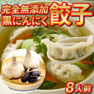 ふるさと納税 須崎市 黒ニンニクと四万十豚で作った餃子(8パック8人前)【添加物不使用】
