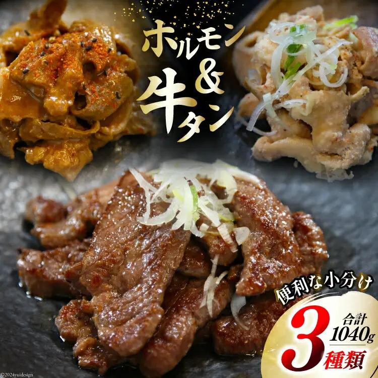 肉 志津川ホルモン 辛味噌・塩 各200g×2・牛タン 厚切り 塩味 120g×2 計1.04kg