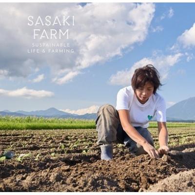 ふるさと納税 洞爺湖町 佐々木ファームよりお届けする旬の野菜詰め合わせ　〜ありがとうBOX 2025・中〜 |  | 02