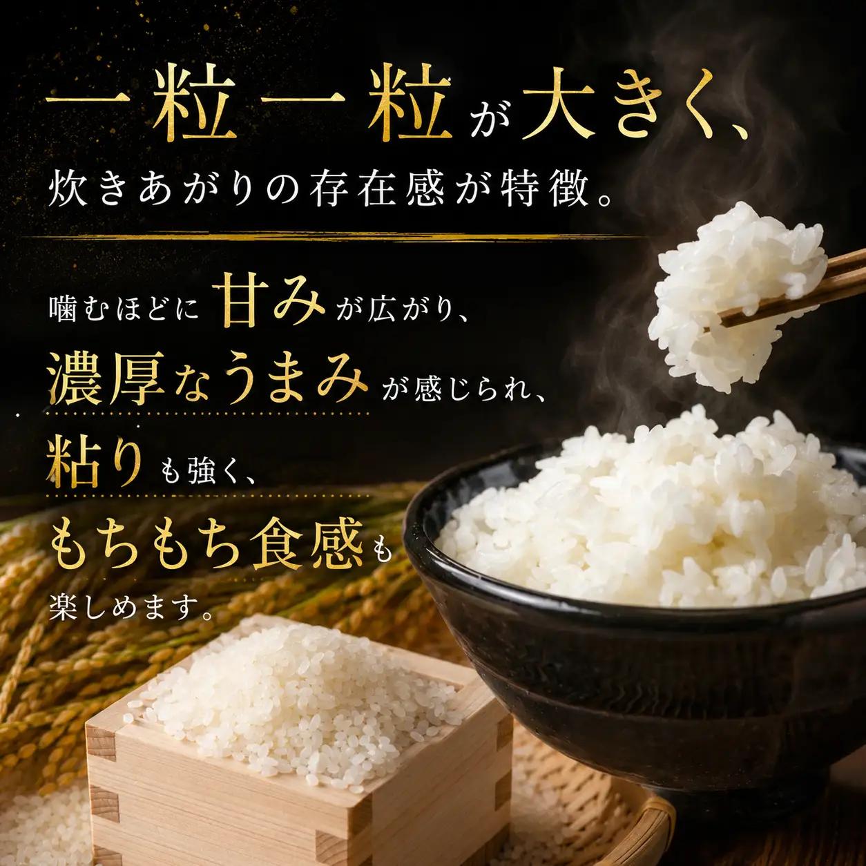 令和8年度 【定期便3回】 ゆうだい21 10kg お米 栃木県共通返礼品