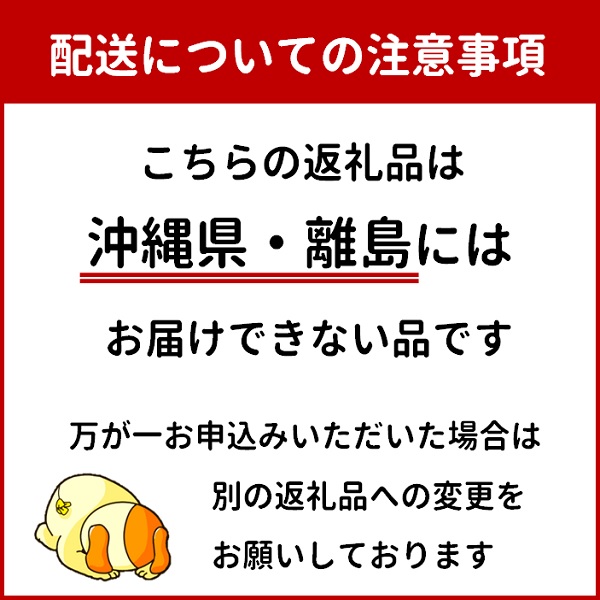 【令和8年産】食の都庄内　庄内の風夏メロン約5kg（3～5玉） ※2026年7月上旬～8月上旬頃発送 [HM5-010(三枡屋)]