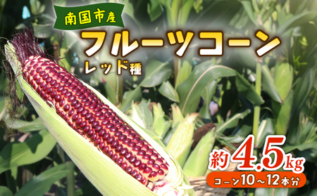 【2026年先行予約 / 数量限定 とうもろこし】 フルーツコーン レッド種 10～12本 とうもろこし