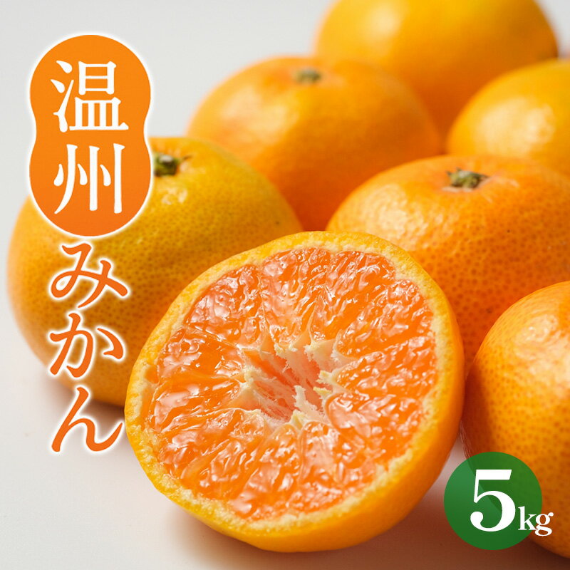 【ふるさと納税】 【2026年11月中旬頃から順次発送】温州みかん 約5kg　えひめみかん 愛媛みかん 温州みかん ミカン 柑橘 蜜柑 フルーツ くだもの 果実 松山市 愛媛県 数量限定