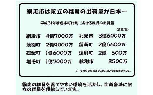 オホーツク産 冷凍帆立（ほたて）の貝柱 ４Ｓサイズ1kg ABX070 | ホタテ 帆立 ホタテ 帆立 ホタテ 帆立 ホタテ 帆立 ホタテ 帆立 ホタテ 帆立 ホタテ 帆立 ホタテ 帆立 ホタテ 帆立