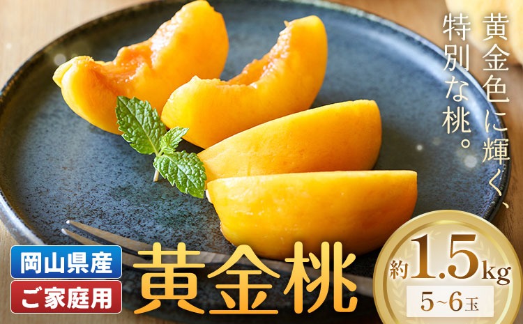 【2027年発送先行予約】ご家庭用 岡山県産 黄金桃 約1.5kg 5～6玉 晴れの国おかやま館 (つむぐ株式会社) 《2027年8月下旬-9月上旬頃出荷》岡山県 笠岡市 フルーツ 果物 果実 訳あり 桃 黄桃 もも モモ【配送不可地域：離島】---H-108---