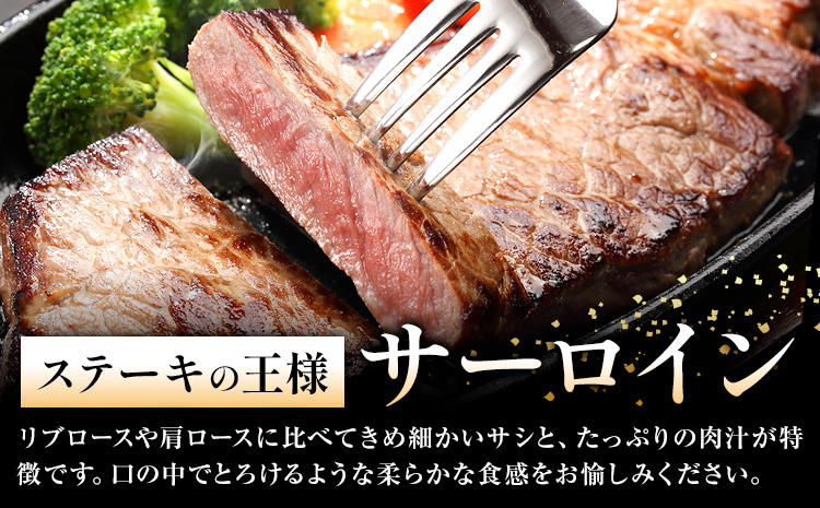 黒毛和牛 特選 サーロインステーキ 2枚入 ステーキソース 1本付 A4～A5ランク 《30日以内に出荷予定(土日祝除く)》 熊本県 苓北町 ミシュラン ビブグルマン 国産 肉 牛肉 黒牛 天草 産地