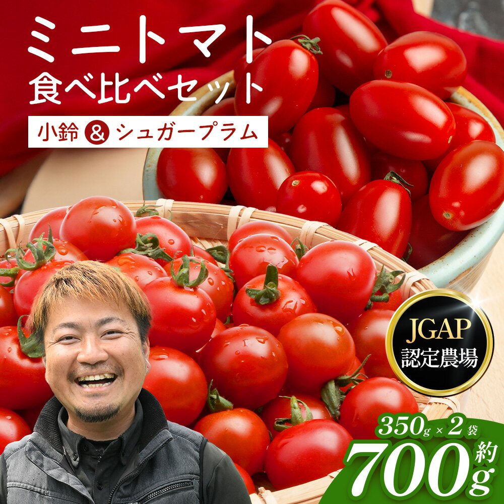 【ふるさと納税】[数量限定]ミニトマト2種食べ比べセット(350g×2種) GP-3｜ミニトマト 野菜 やさい 食品 人気 おすすめ 美味しい 産地直送 小鈴 シュガープラム 食べ比べ セット