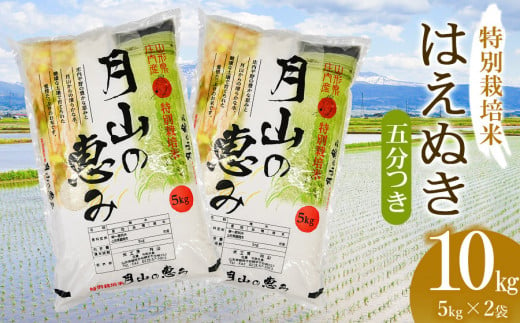 【令和6年産 新米】 特別栽培米 はえぬき 五分づき 10kg（5kg×2袋）山形県鶴岡市産　米工房 月山