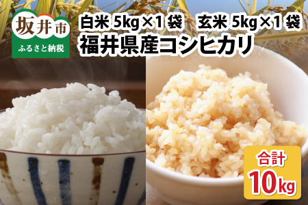 【先行予約】【令和7年産・新米】【白米5kg×1袋と玄米5kg×１袋】福井県産 コシヒカリ10kg ～本原農園からまごころコメて～ 【2025年10月上旬以降順次発送予定】【お米 こしひかり 白米 玄米 10キロ 選べる 精米 ブランド米 ごはん ご飯 おいしい ふるさと納税米 産地直送 農家直送】 [B-8907_06]