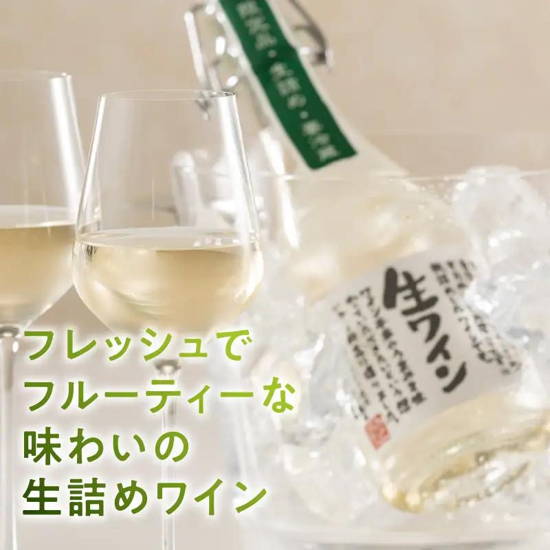 ワイン 生ワイン 白 500ml（MTS）A09-638