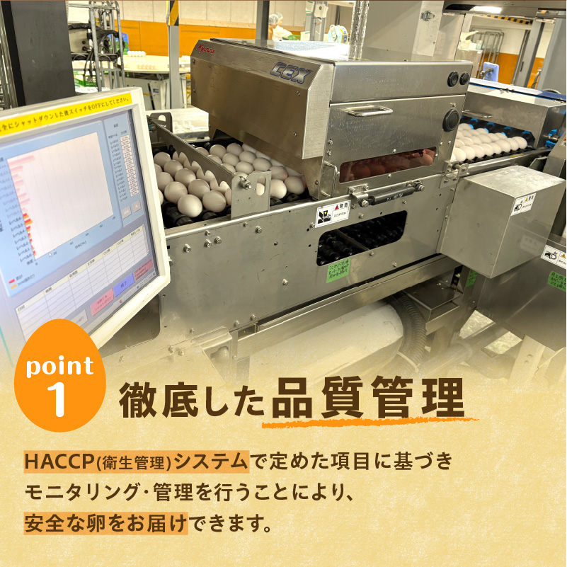 大平原ファームの新鮮でおいしい卵 計50個(白卵)【 北海道 清水 卵 50個 こだわり卵 卵かけご飯 玉子 タマゴ 卵焼き TKG 温泉卵 オムレツ ゆでたまご 栄養満点  国産  】