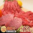 【ふるさと納税】【全12回】【最高級のヘルシーお肉 A4 A5 佐賀牛あっさり赤身 定期便 12,000g 総計12kg 吉野ヶ里町/ミートフーズ華松 [FAY021]