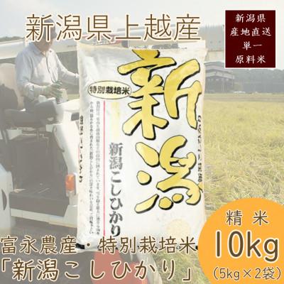 ふるさと納税 上越市 令和7年・新潟県産|特別栽培米コシヒカリ 精米10kg(富永農産)