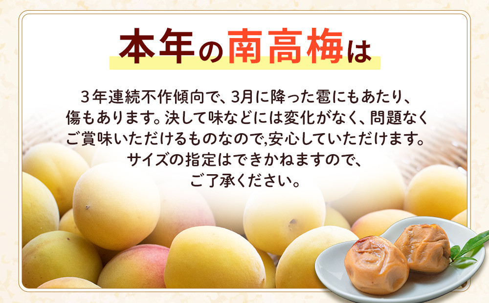 訳あり 紀州南高梅 小梅 まごころ はちみつ梅 90g ×8パック 減塩5％ ［TR10w］