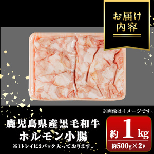 【A01039】鹿児島県産黒毛和牛 ホルモン 小腸 (計約1kg・約500g×2P) 鹿児島 国産 九州産 黒毛和牛 牛肉 ホルモン 牛ホルモン 生ホルモン モツ 小腸 真空パック 個包装 小分け 冷