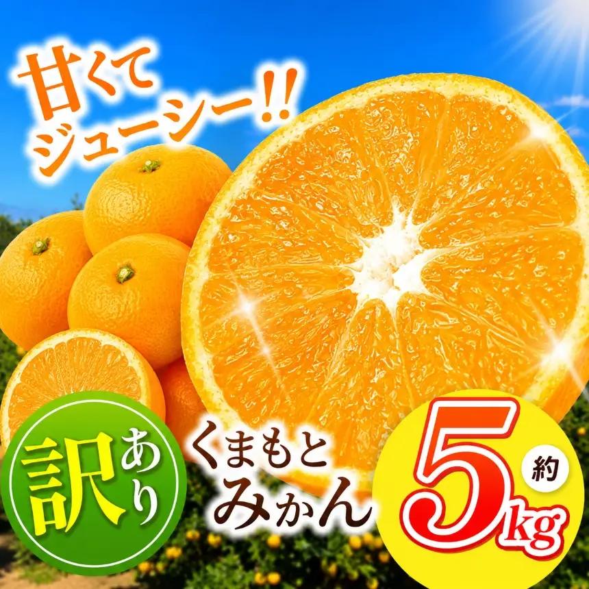 訳あり 熊本県産 温州みかん 約 5kg 