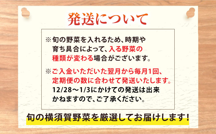 【全３回定期便】すずなり採れたて野菜BOX　(5～7品）【鈴也ファーム】 [AKCE011]