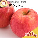 【ふるさと納税】《特選～特秀》 サンふじ 10kg ( 配送時期が選べる 11月～3月 ) / りんご 林檎 アップル 贈り物 ギフト 贈答 常温保存 果物 くだもの フルーツ秋 旬 青森県 五所川原市