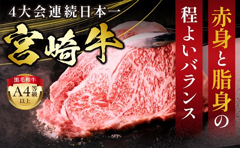 宮崎牛 サーロインステーキ 3枚 合計600g_M243-037