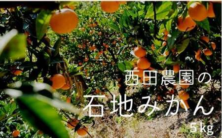 瀬戸内 石地みかん 約5kg(約50個前後) 【2026年12月以降発送】
