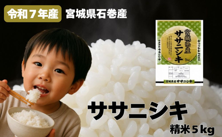 米 令和7年産 ササニシキ 精米 5kg 新米 お米 ごはん ご飯 飯 5キロ 単一銘柄米 主食 こめ コメ 家庭用 美味しい ブランド米 あっさり 食感 ささにしき おにぎり おかゆ 送料無料 宮城県 石巻 石巻市