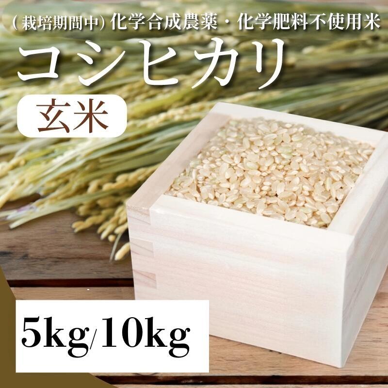 【ふるさと納税】 【健康志向の方へ】 玄米 5kg 10kg コシヒカリ 新 令和7年産 米 こめ ご飯 ごはん おにぎり 卵かけご飯 白米 栽培期間中 化学合成農薬不使用 食品 備蓄 備蓄米 保存 防災 ギフト 贈答 プレゼント お取り寄せ グルメ 送料無料 徳島県