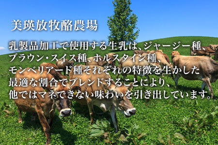チーズ  グランプリ受賞 100g×5個  北海道チーズ 本格的ハードチーズ  [024-41]