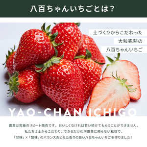 【定期便・全5回】農家のホンモノ いちごジャム 140g 2本セット × 5回｜五つ星ひょうご認定 国産 砂糖不使用  八百ちゃんいちご