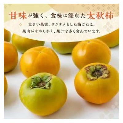 ふるさと納税 うきは市 【のし付き】太秋柿 6玉前後U102-2KA-TA02
