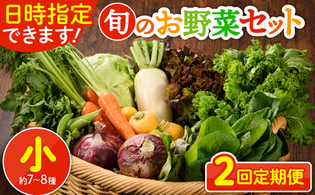 日時指定可能！旬のお野菜セット（サイズ小）【全２回定期便】