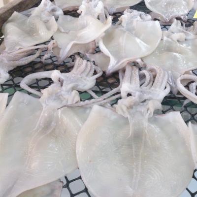 ふるさと納税 北茨城市 北茨城市大津港産　真いか一夜干し　2枚入り×3パック