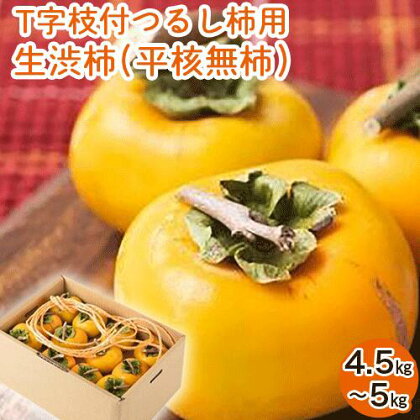 【2026年先行予約】T字枝付つるし柿用生渋柿 4.5～5kg ふるさと農園《10月中旬-11月上旬頃出荷》