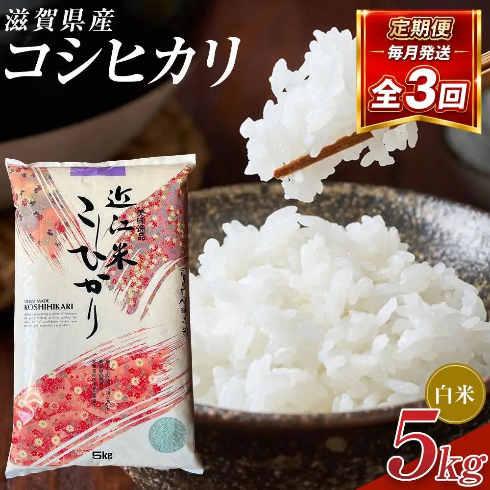 【令和8年産 新米 先行予約】近江米コシヒカリ白米5kg×3回定期便※2026年9月～発送