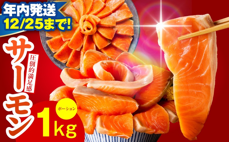010B1719y 【年内発送 12/25まで】サーモン 1kg ポーション 小分け 刺身 海鮮丼 サラダ カルパッチョ