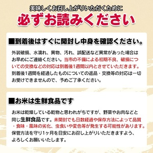 【令和5年産】 斎藤農場の特別栽培米 雪若丸 玄米 10kg（5kg×2） A35-003